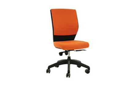 web shop DS6 